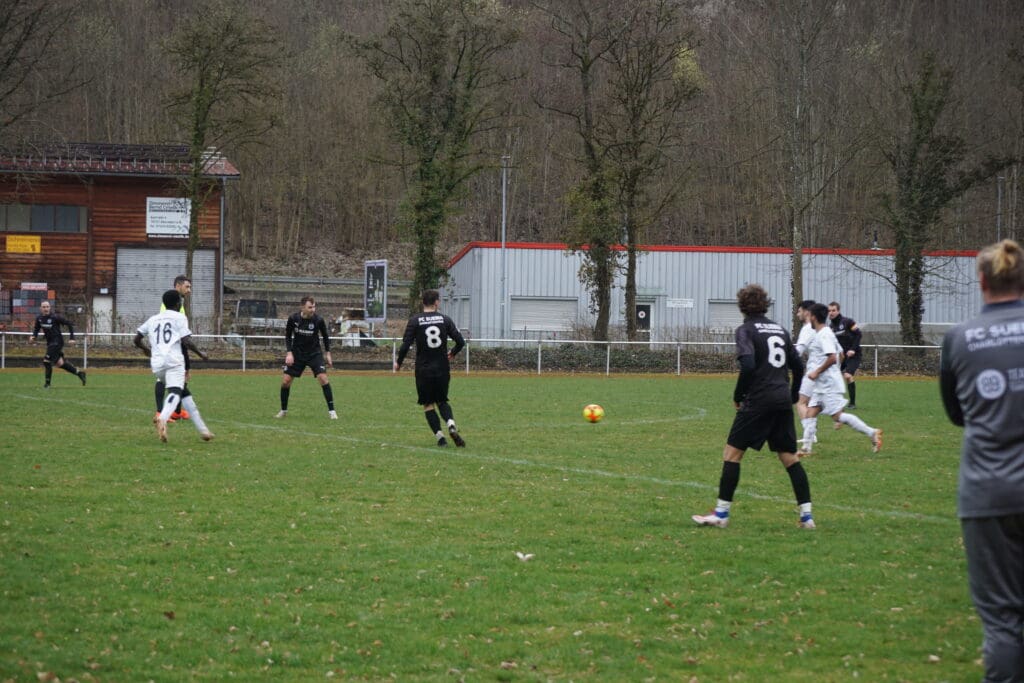 Bild zum Bericht